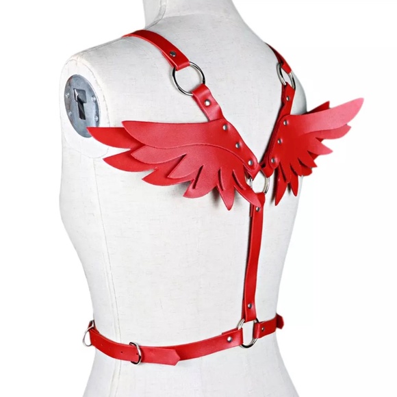 Red Leather Harness Set - Picture 8 of 9